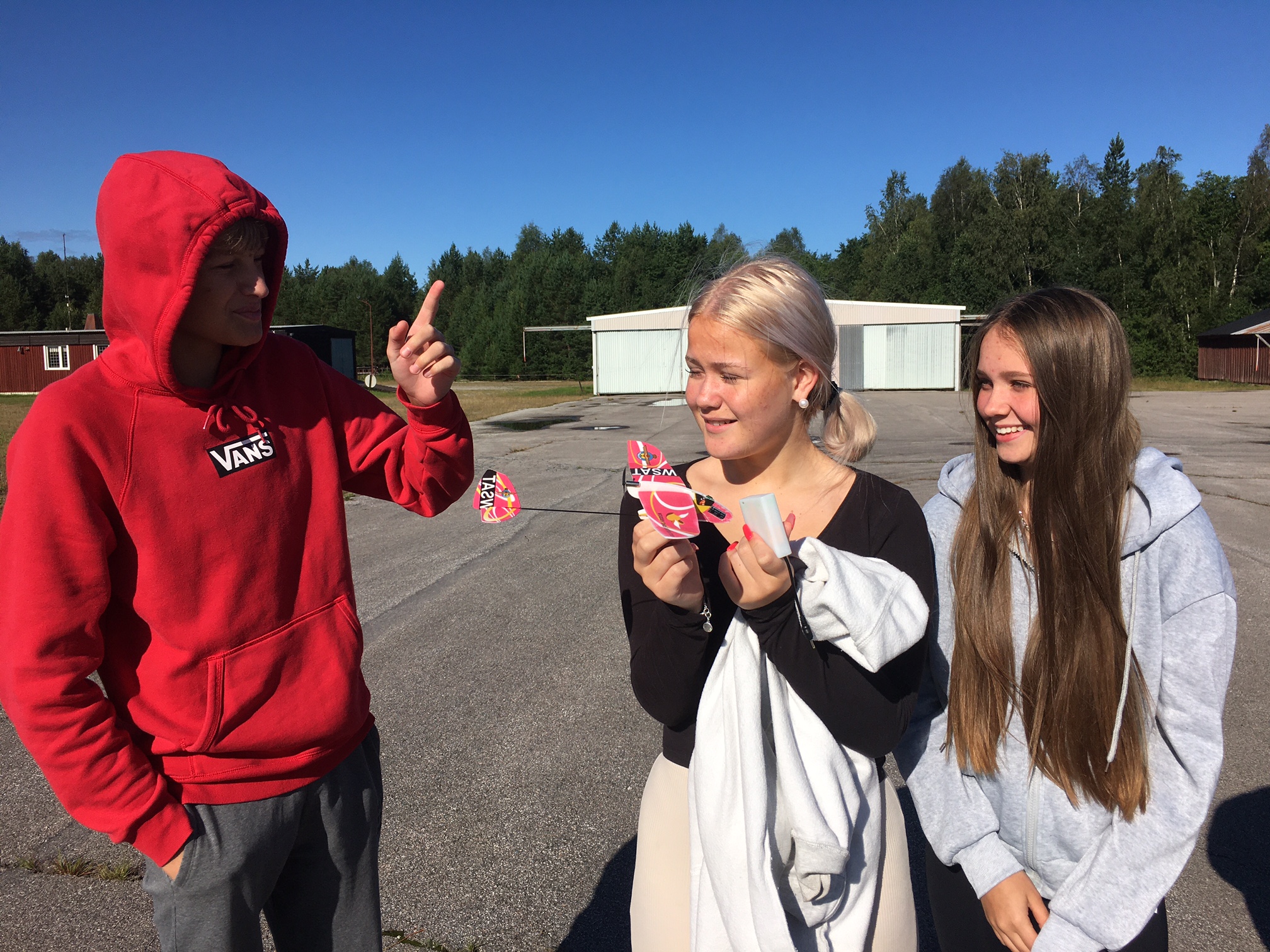 En bild