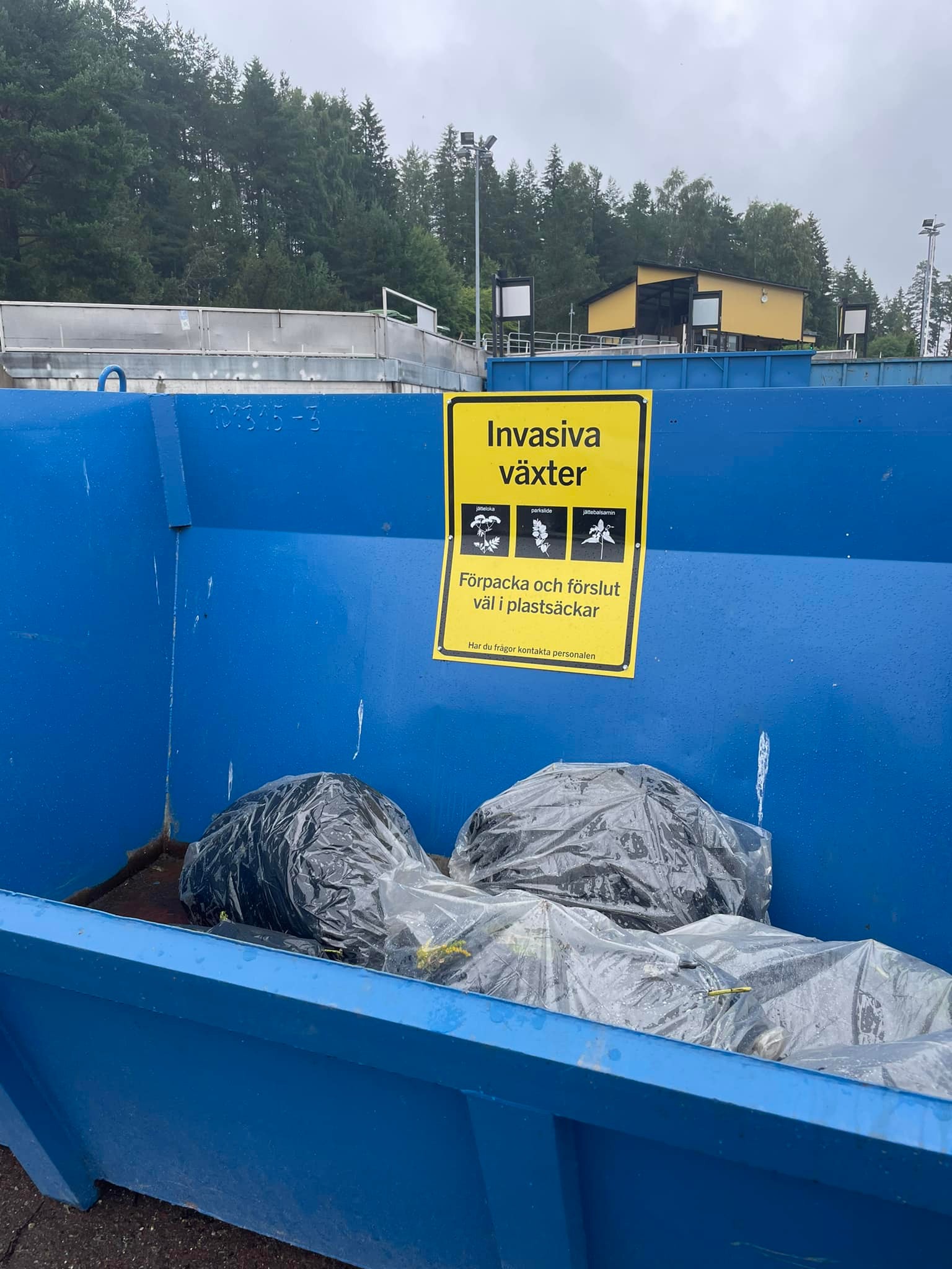 En bild