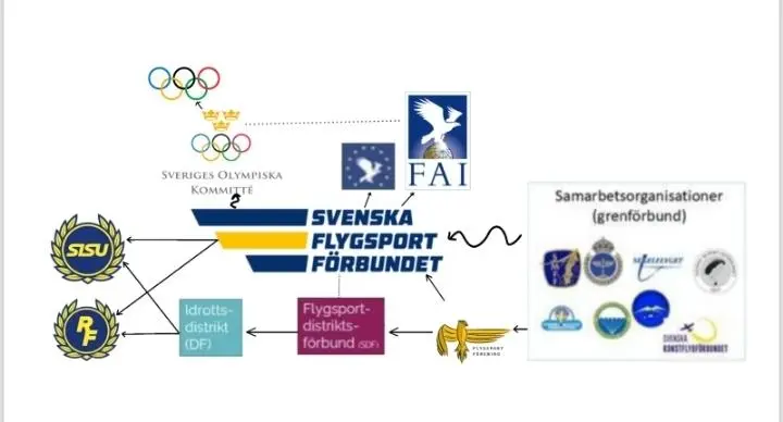 En bild