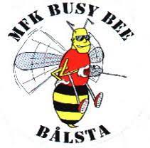 En bild